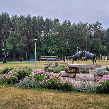 Chalet Villa Rex Druskininkai Bagian luar foto
