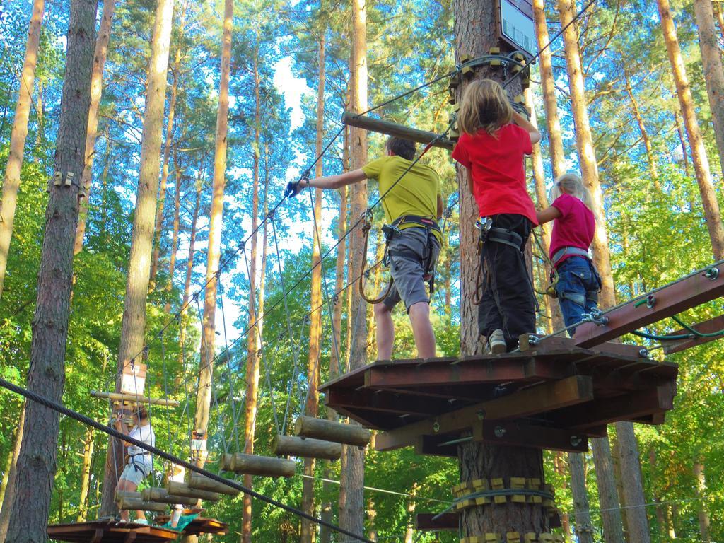 Chalet Villa Rex Druskininkai Bagian luar foto