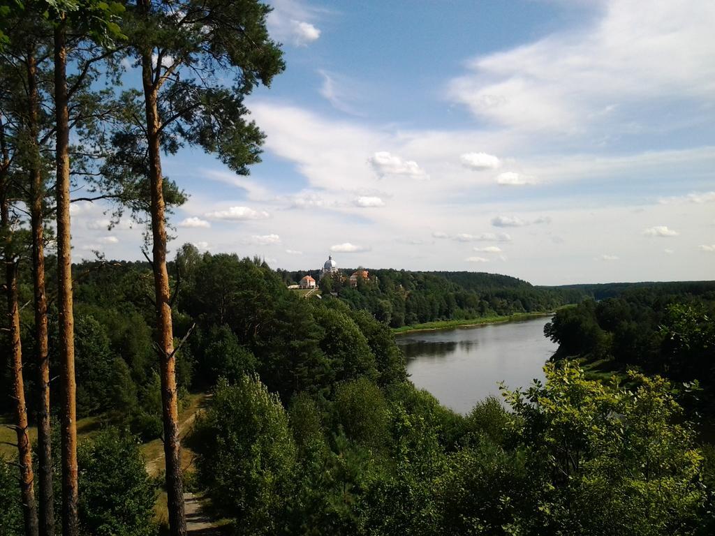 Chalet Villa Rex Druskininkai Bagian luar foto