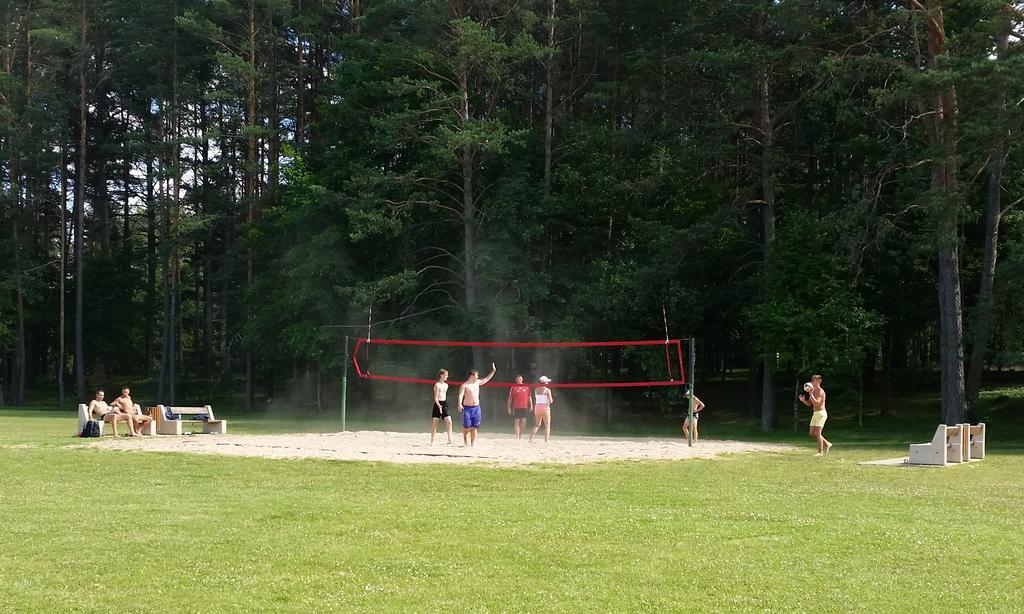 Chalet Villa Rex Druskininkai Bagian luar foto