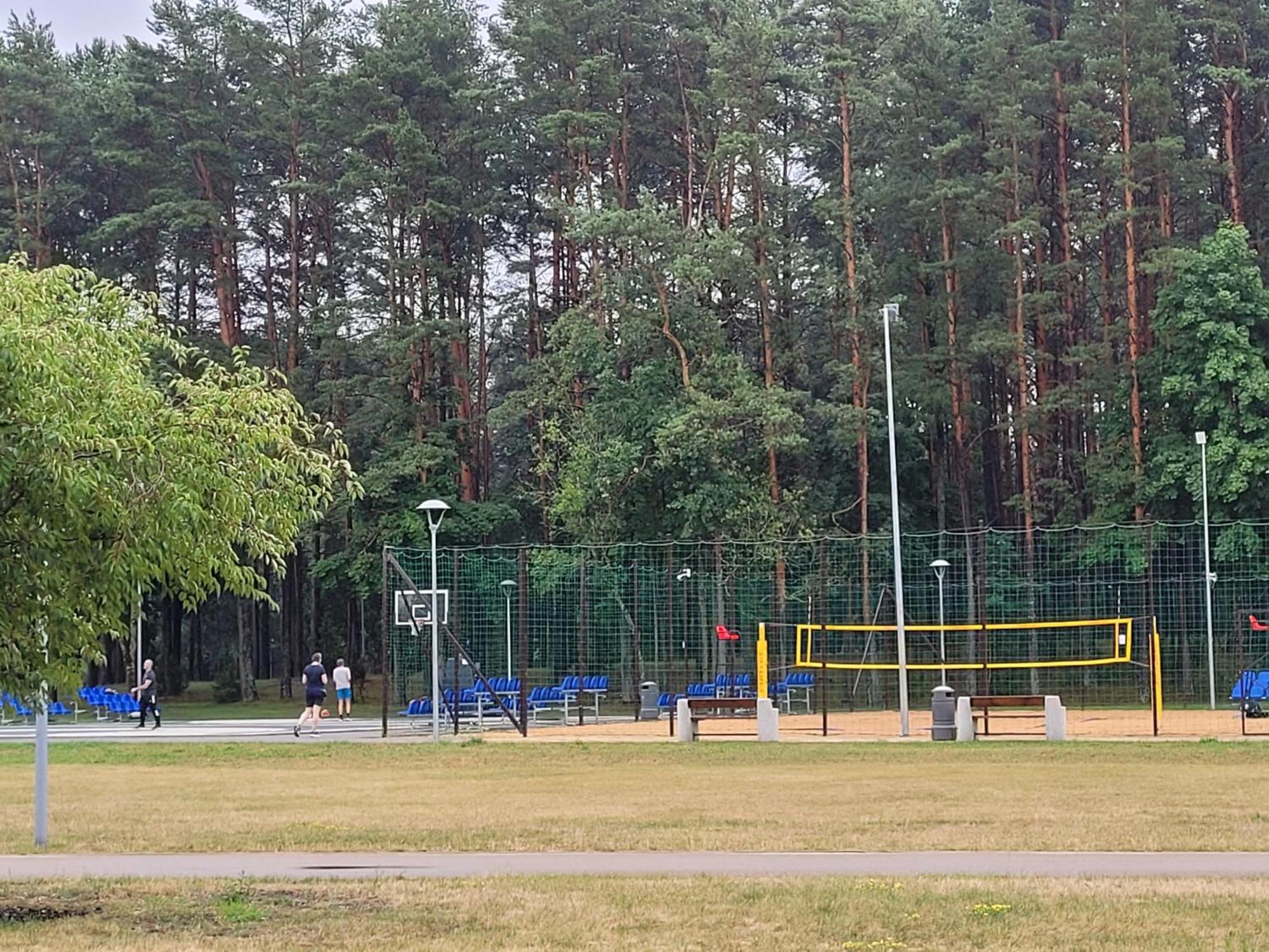 Chalet Villa Rex Druskininkai Bagian luar foto