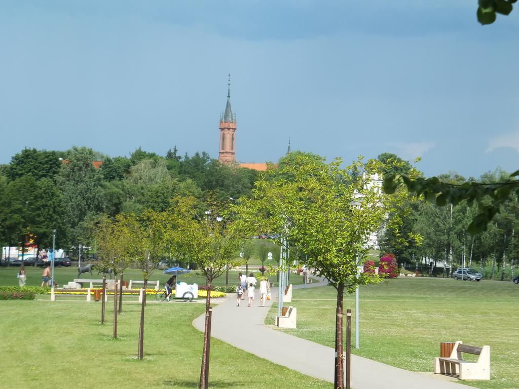 Chalet Villa Rex Druskininkai Bagian luar foto