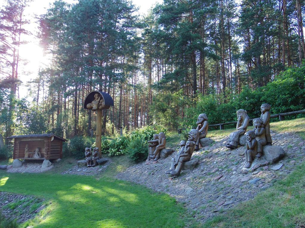 Chalet Villa Rex Druskininkai Bagian luar foto
