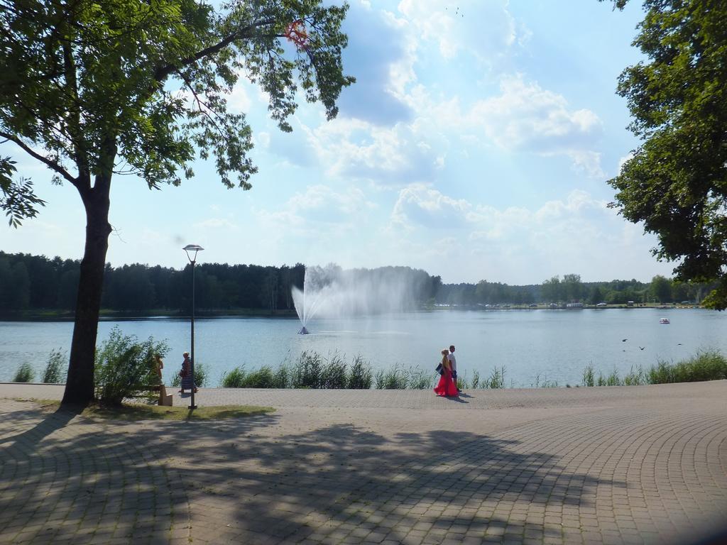 Chalet Villa Rex Druskininkai Bagian luar foto
