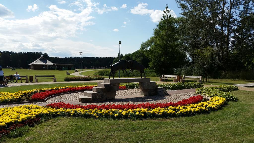 Chalet Villa Rex Druskininkai Bagian luar foto
