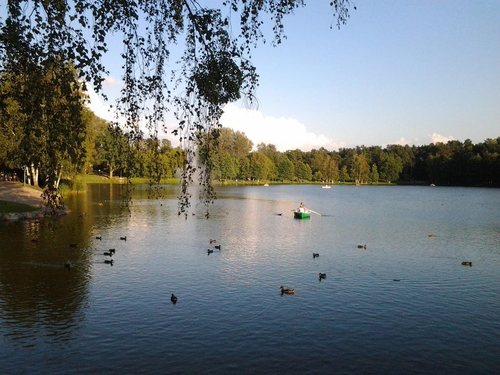 Chalet Villa Rex Druskininkai Bagian luar foto