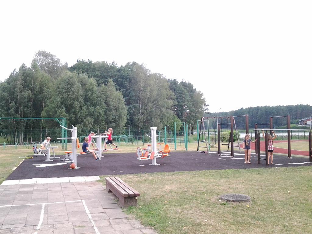 Chalet Villa Rex Druskininkai Bagian luar foto