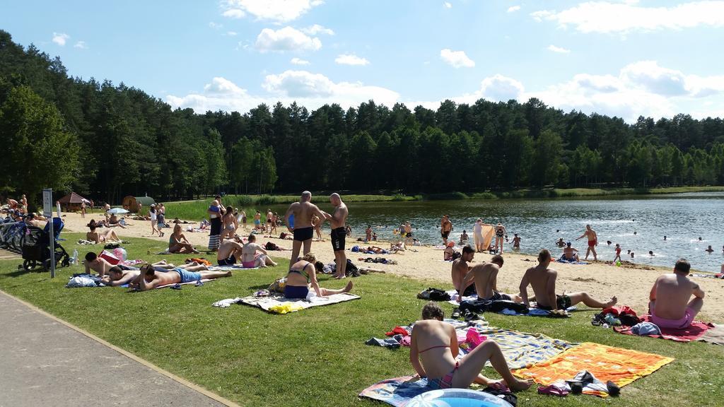 Chalet Villa Rex Druskininkai Bagian luar foto
